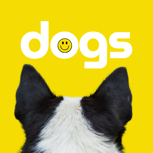 Dog Breeds